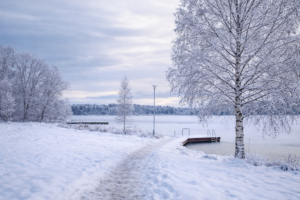 Polku johtaa talviuintilaiturille.
